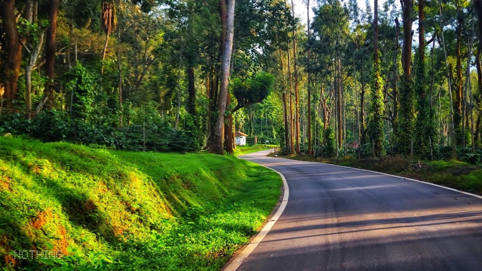 Coorg Divine Spark Home Stay Suntikoppa Esterno foto