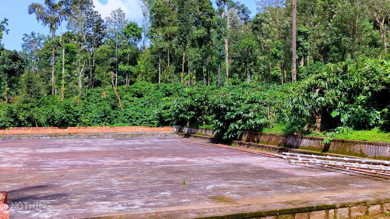 Coorg Divine Spark Home Stay Suntikoppa Esterno foto